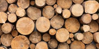 Buying Firewood Logs